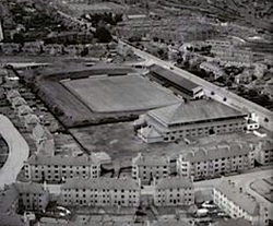 Muirton Park