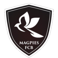 Magpies