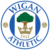 Wigan 