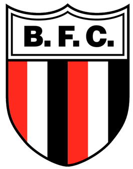 Botafogo de Ribeirão Preto